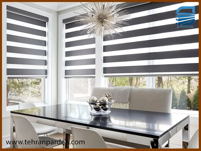 پرده زبرا چیست؟