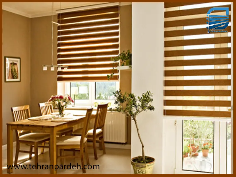 مزایا و معایب پرده زبرا